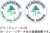 ピクノジェノールはホーファーリサーチ社の登録商標です。