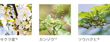 成分