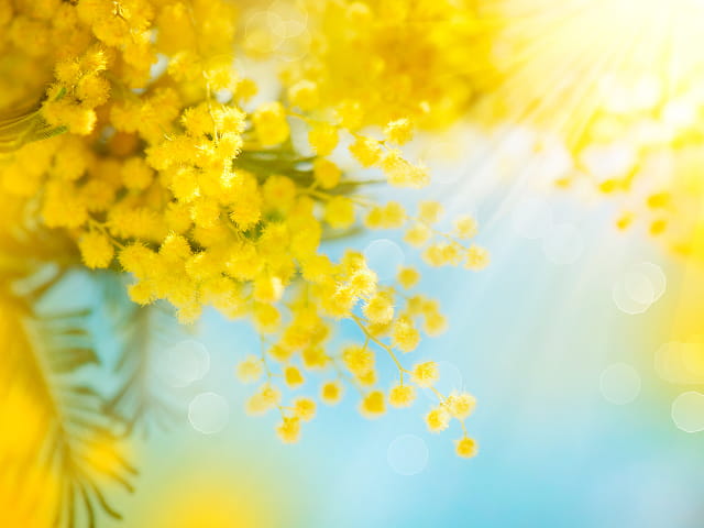 春の肌荒れが長引く理由