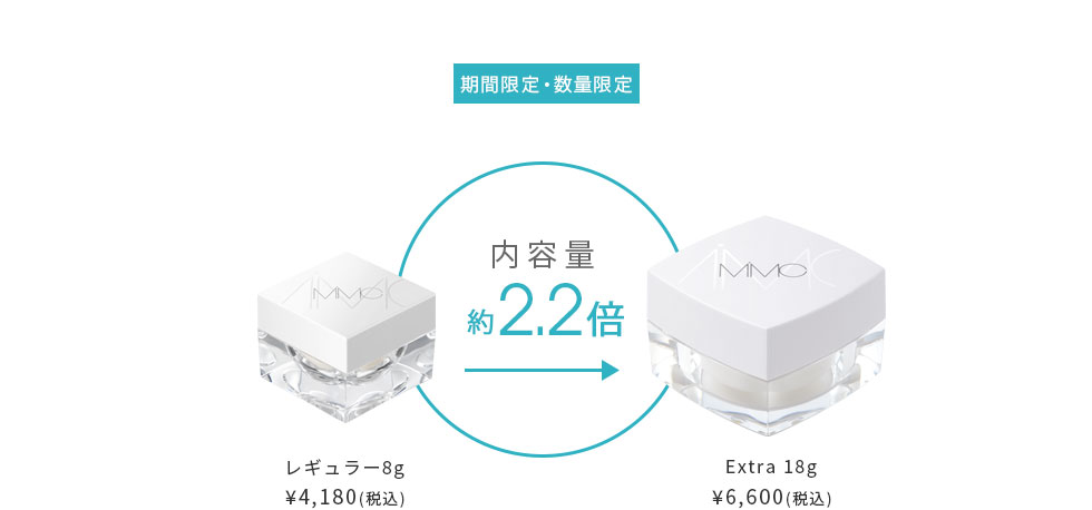 内容量が約2.2倍のお得なBigサイズ