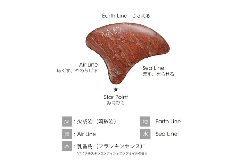 スキントレーナー