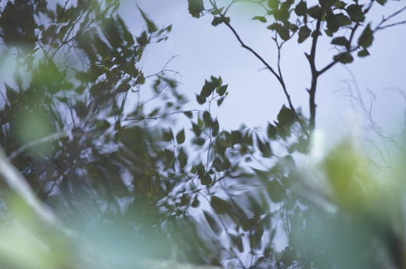 顔も頭皮も、ひとつの身体。人も自然も、ひとつの地球。