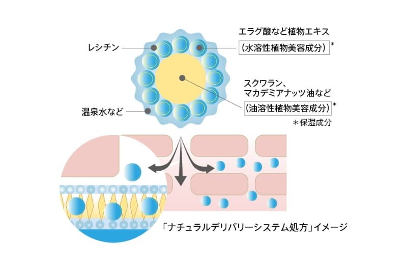 紫ナチュラルデリバリーシステム処方イメージ